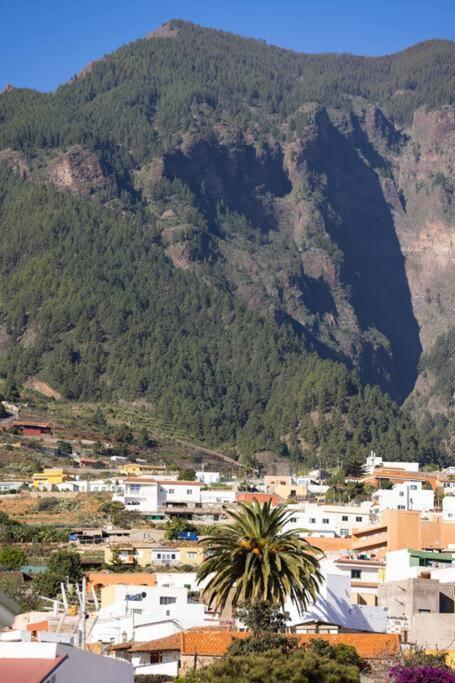 Acogedor Atico Con Vistas Al Atlantico Lägenhet Arafo Exteriör bild